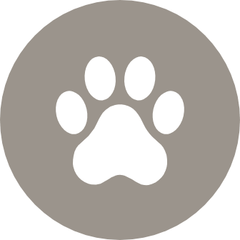 BOND WITH FIDO IN THE DOG LOUNGE
