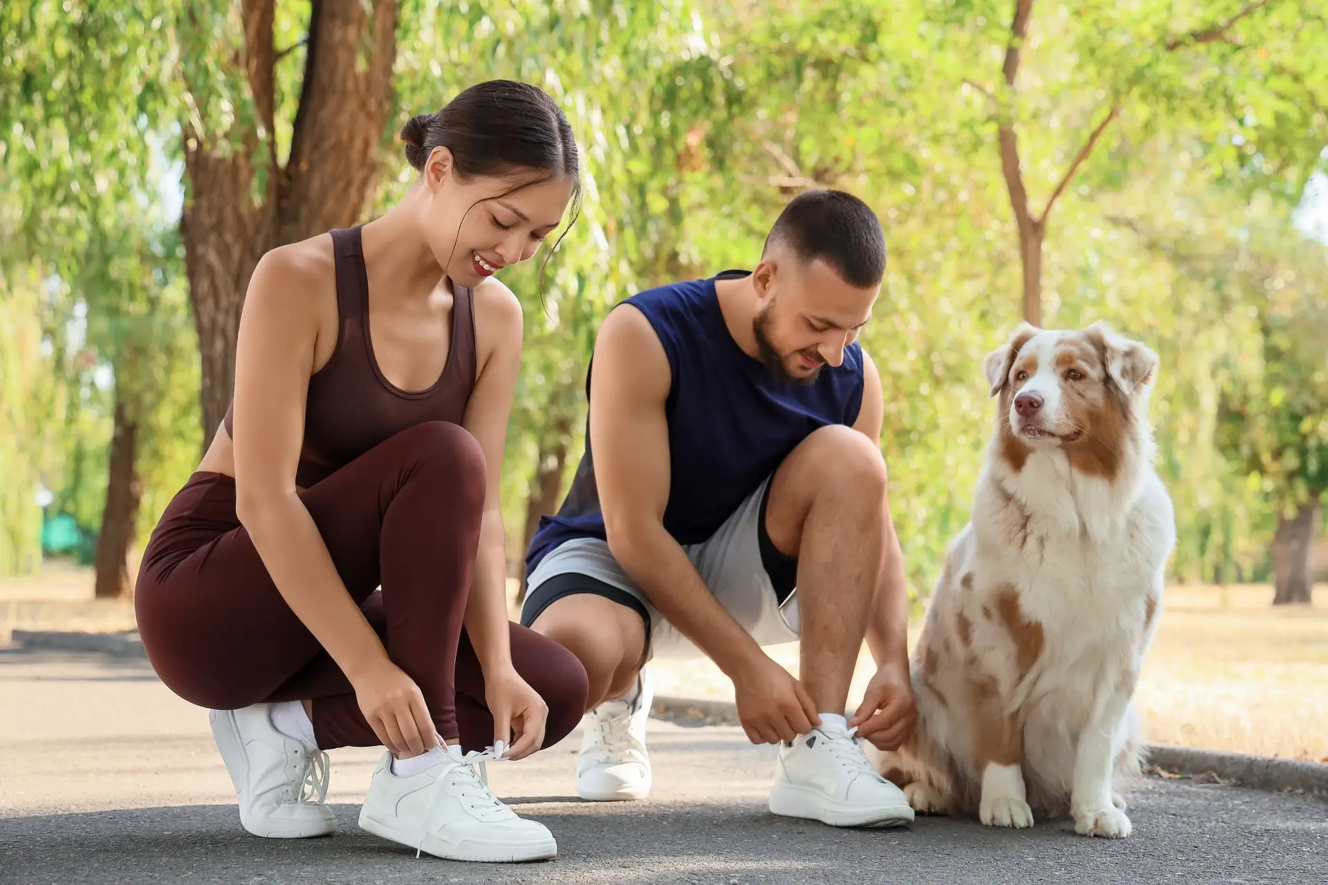pet friendly apartments in south lamar