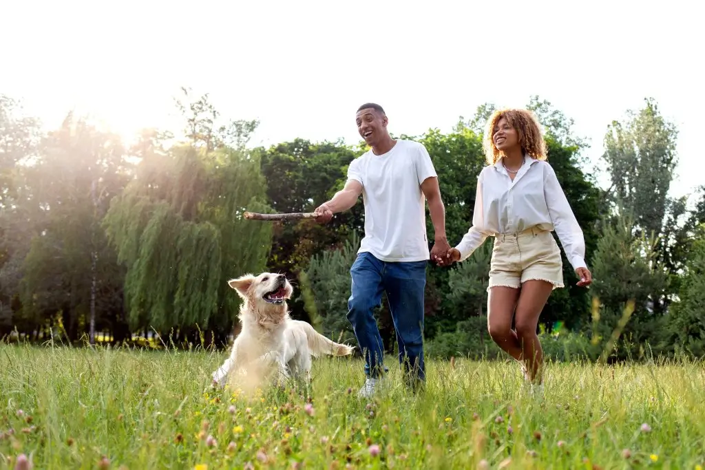 pet friendly apartments in south lamar austin tx